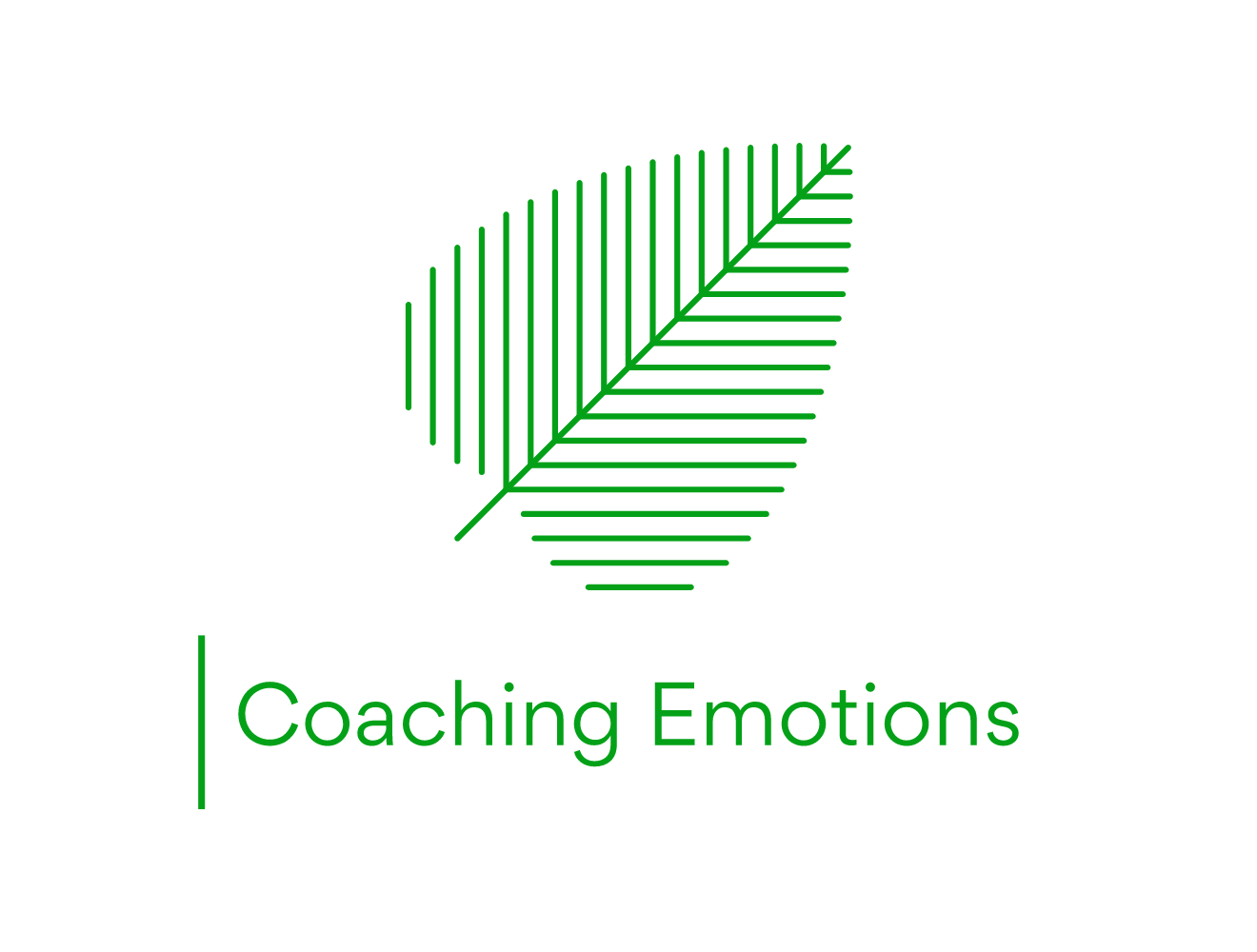 Coaching Emotions