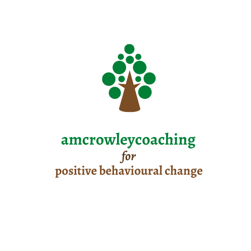 amcrowleycoaching.com