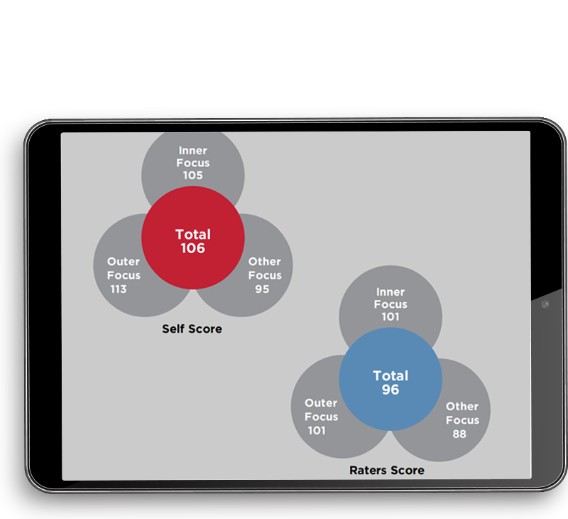 RocheMartin Self Score and Raters Score on a Tablet