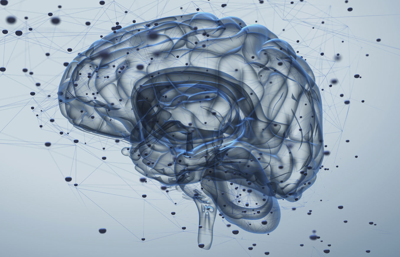 Brain illustration